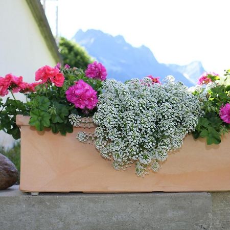Apart Brigitta Sankt Leonhard im Pitztal Buitenkant foto